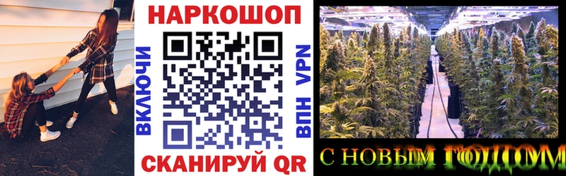 Псилоцибиновые грибы Костерёво