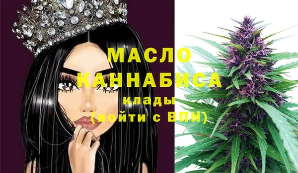 ECSTASY Няндома